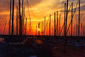 marina_sunset4.jpg
