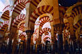 mezquita_arches4.jpg