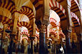 mezquita_arches3.jpg